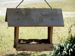 Platform Bird Feeder